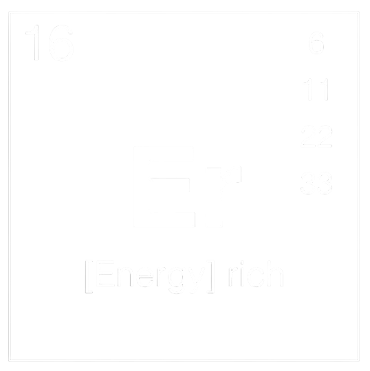 Energy Rich